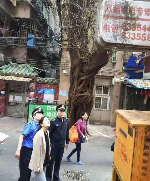 广州市专业律师免费咨询,广州社区免费律师咨询
