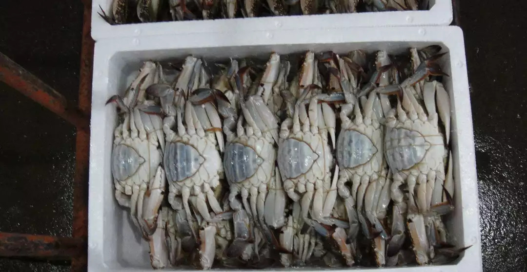 成都最新批发市场,成都最大的小商品批发市场在哪里