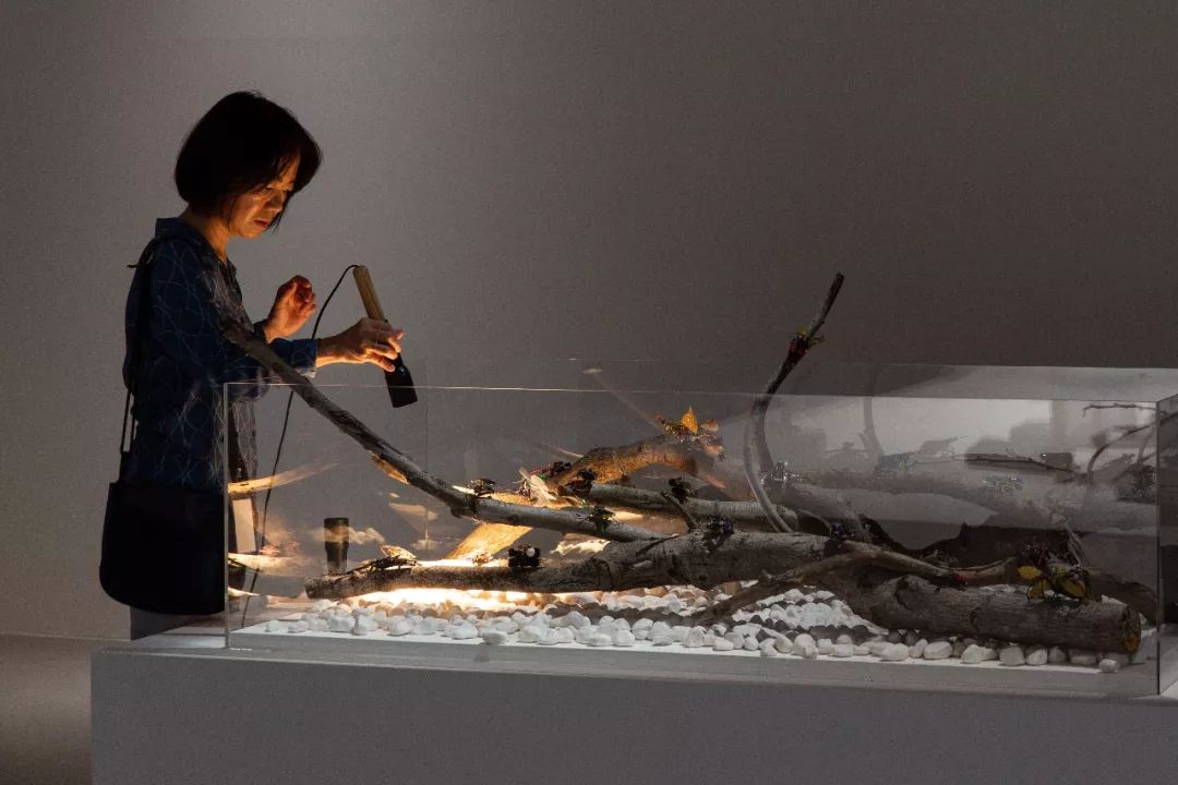 2023凤凰双年展,凤凰艺术展台北