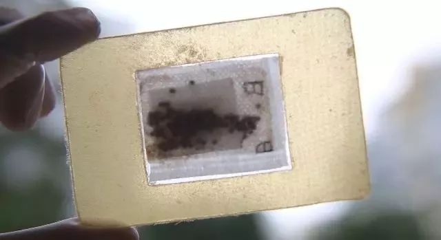 肉眼可见的除螨效果，日本爆款除螨贴，24小时不间断，除螨率高达97%