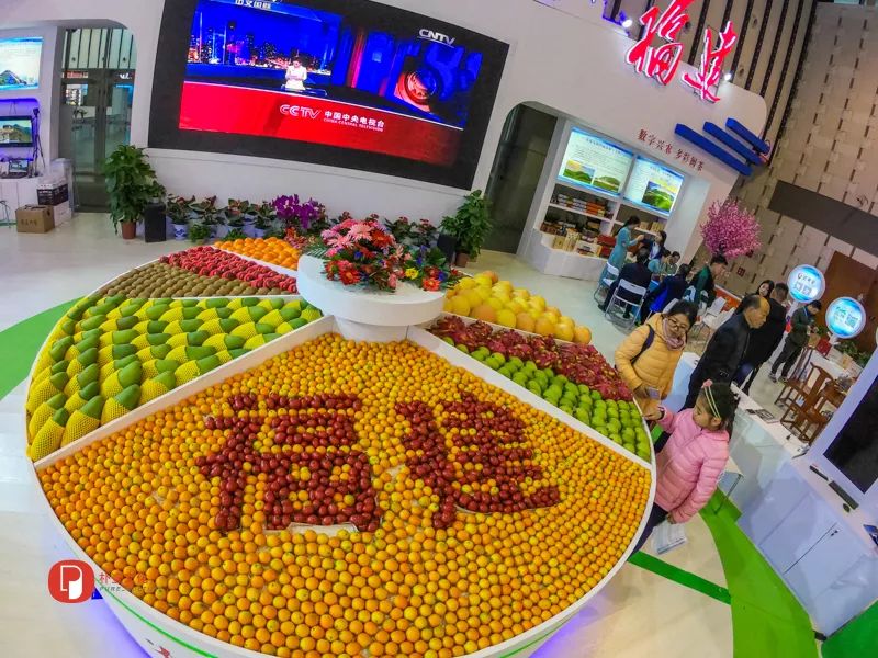 「文明旅游」未来农业应该是啥样？｜快来看全国新农民新技术创业创新博览会