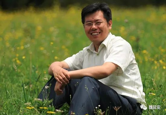 周末读书︱魏延安：青春没有悲伤——读杨则纬新作《首尔邮箱》