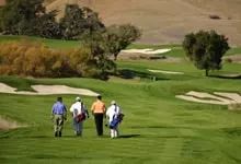 瑰丽董事长,瑰丽集团创始人是谁