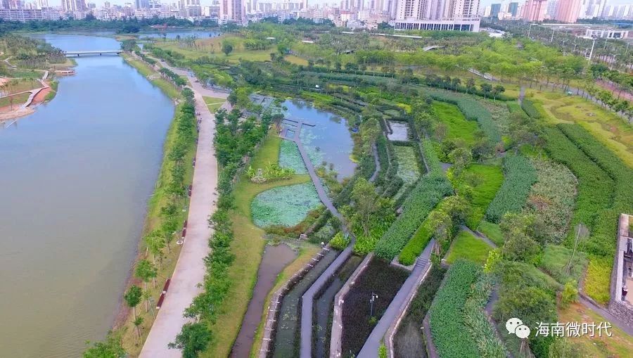 海口最近有新消息吗,海南海口最新官方消息