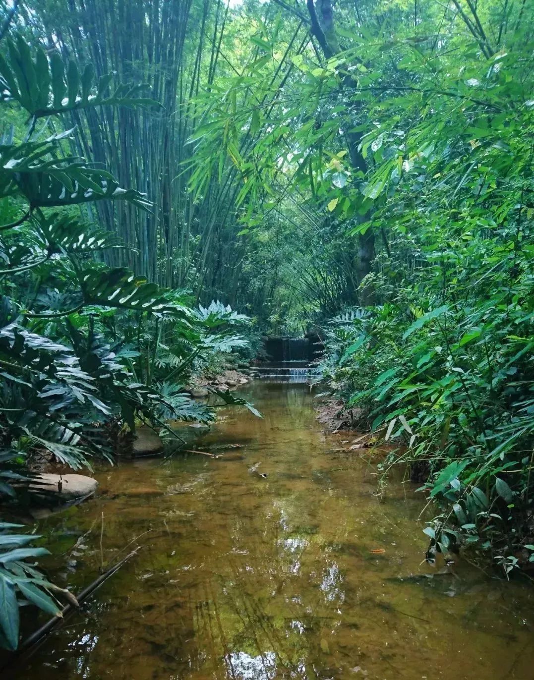 「信息速递」请为他们打Call!超2000人徒步50公里，只为做这一件事……