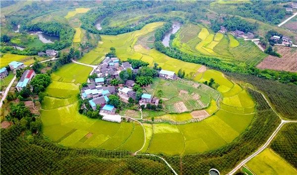 四川省2018年四好村名单,四川广安乡村振兴村名单