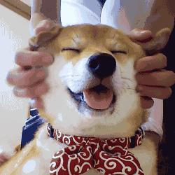 「健康」80后干部两鬓斑白上热搜！怎么防止头发变秃变白？