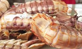 陈晓卿陈导：人间风味没我不爱吃的双手曾沾满天津皮皮虾的鲜血