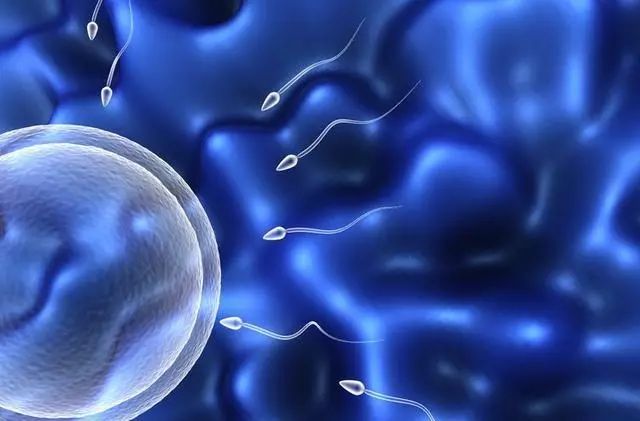 「解疑」夜晚精子“决堤”怎么回事?医生提醒:3个问题急需解决