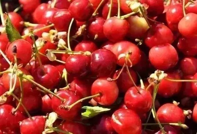 网警提醒个人信息泄露,网警提醒个人信息泄露是什么意思