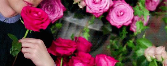 月季玫瑰花海门票免费送,五一花海门票免费送