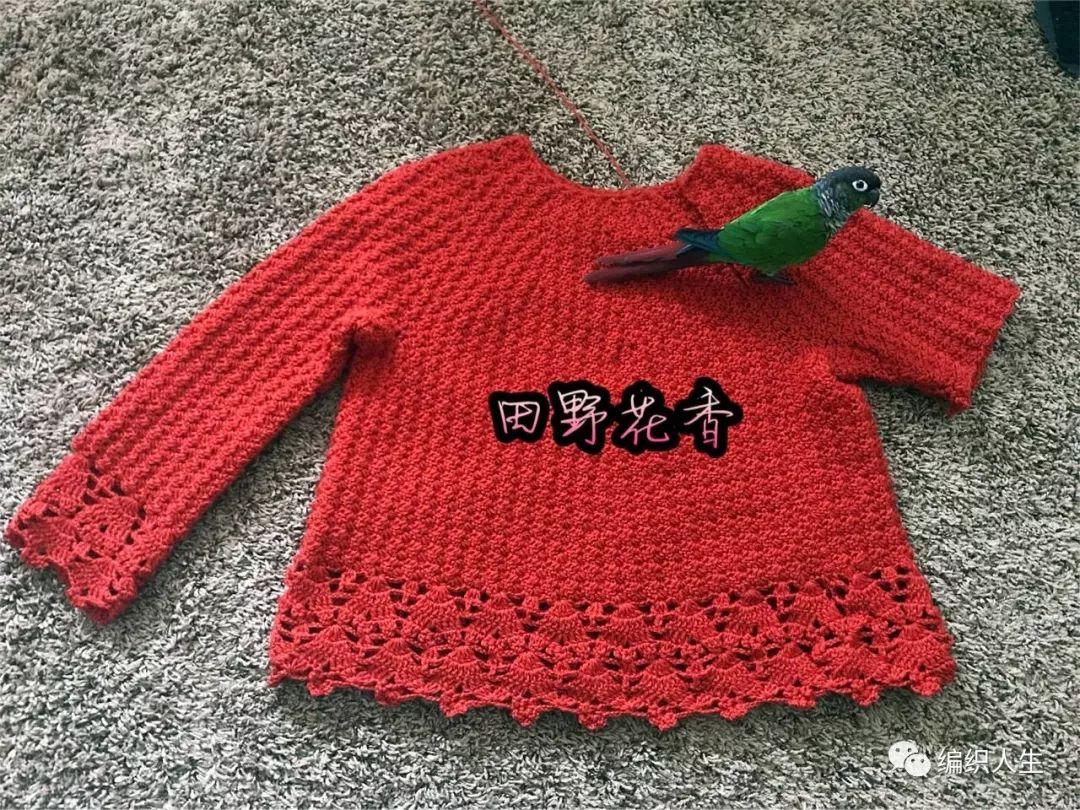 秋韵上衣钩针图解,开襟毛衣的钩针教程