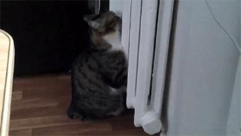 暖气使用时间长了,暖气放气放到什么程度是没有气了