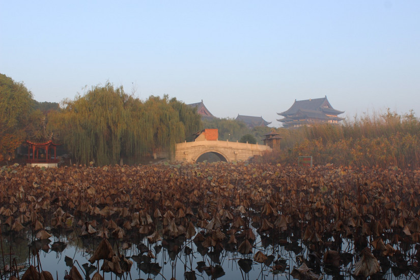 阳澄湖春季游玩攻略大全,阳澄湖秋天最美的地方