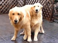 杭州民宿真实评价,杭州民宿真的很好吗