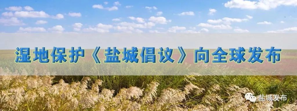 盐城生物工程学校2022招聘教师,盐城市教育局直属教师招聘