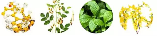 一直有口臭吃什么内调,如何从根本上解决口臭的问题