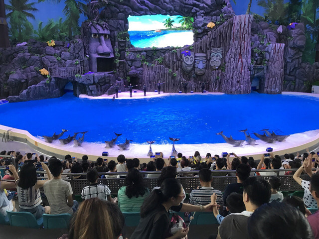 长隆珠海海洋王国网红打卡,珠海长隆海洋王国哪里买门票便宜