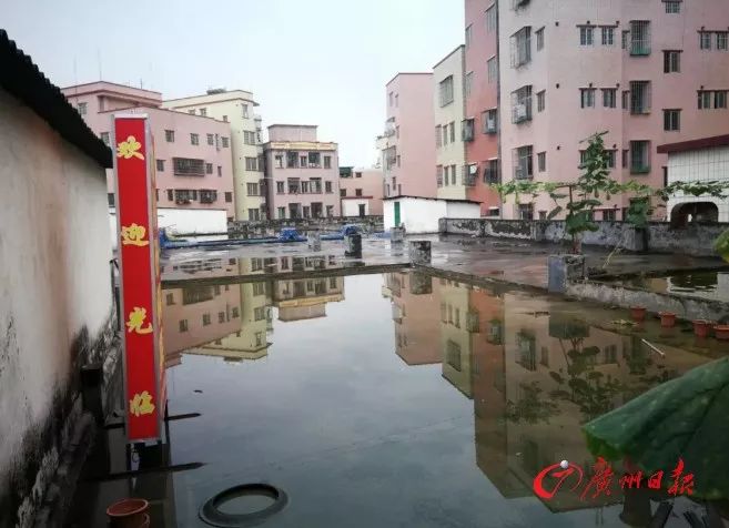 天降大狗案旷日持久谁来担责?