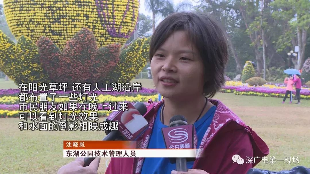 深圳东湖公园菊花展结束,深圳东湖公园菊花展延期
