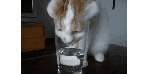 暖气放气放到什么程度是没有气了,暖气里全是气没有水