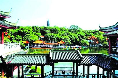 青岛11月特价机票,青岛飞什么地方机票最便宜