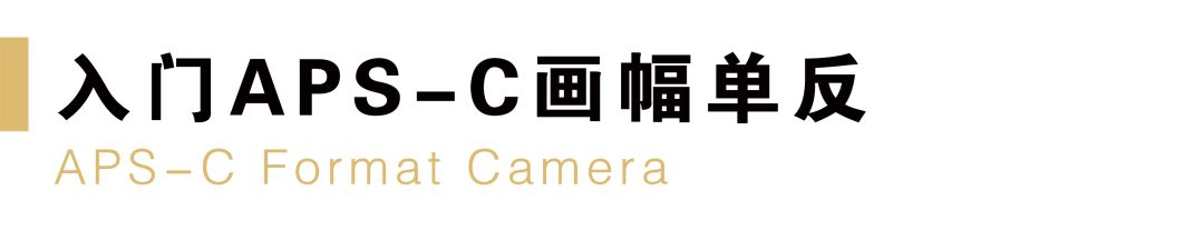 什么品牌相机最好尼康佳能,目前买尼康相机什么型号最好