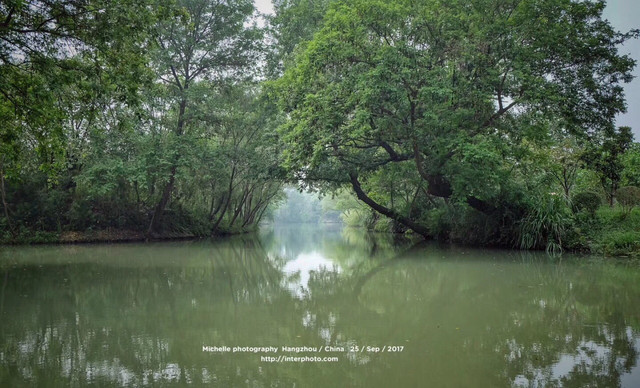 原生态风貌的西溪湿地公园