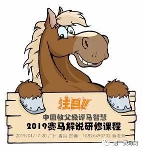 国际马术大师赛浪琴表,国际骑师香港锦标赛