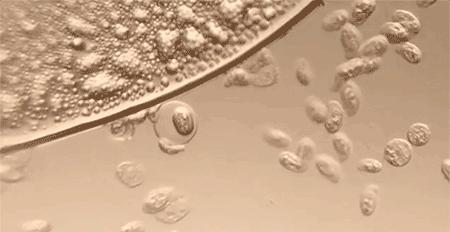 蚕丝牛仔裤夏日必备,适合冬天穿的蚕丝裤修身