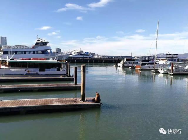 当我一个人来到旧金山,再见旧金山