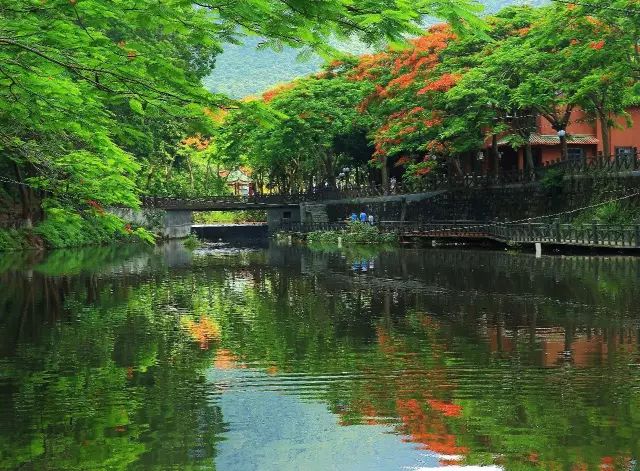 龙岗第一高楼最新消息,龙岗第一城