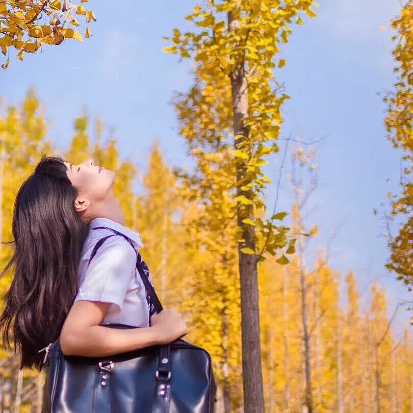 银杏打卡景点,成都周边打卡最美银杏观赏地