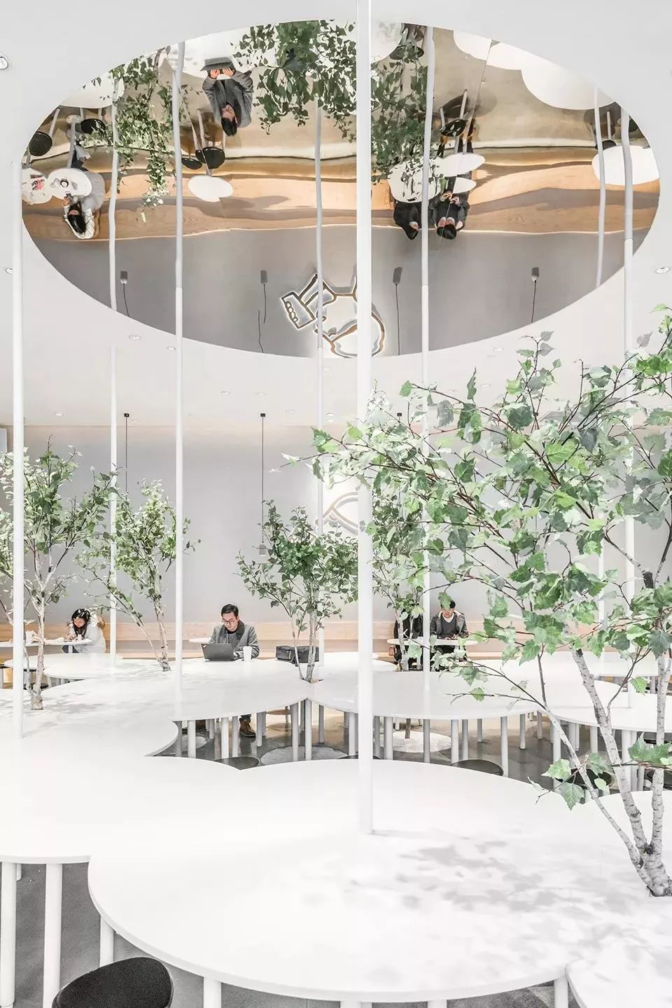 网红茶叶第一茶,抖音喝茶第一人