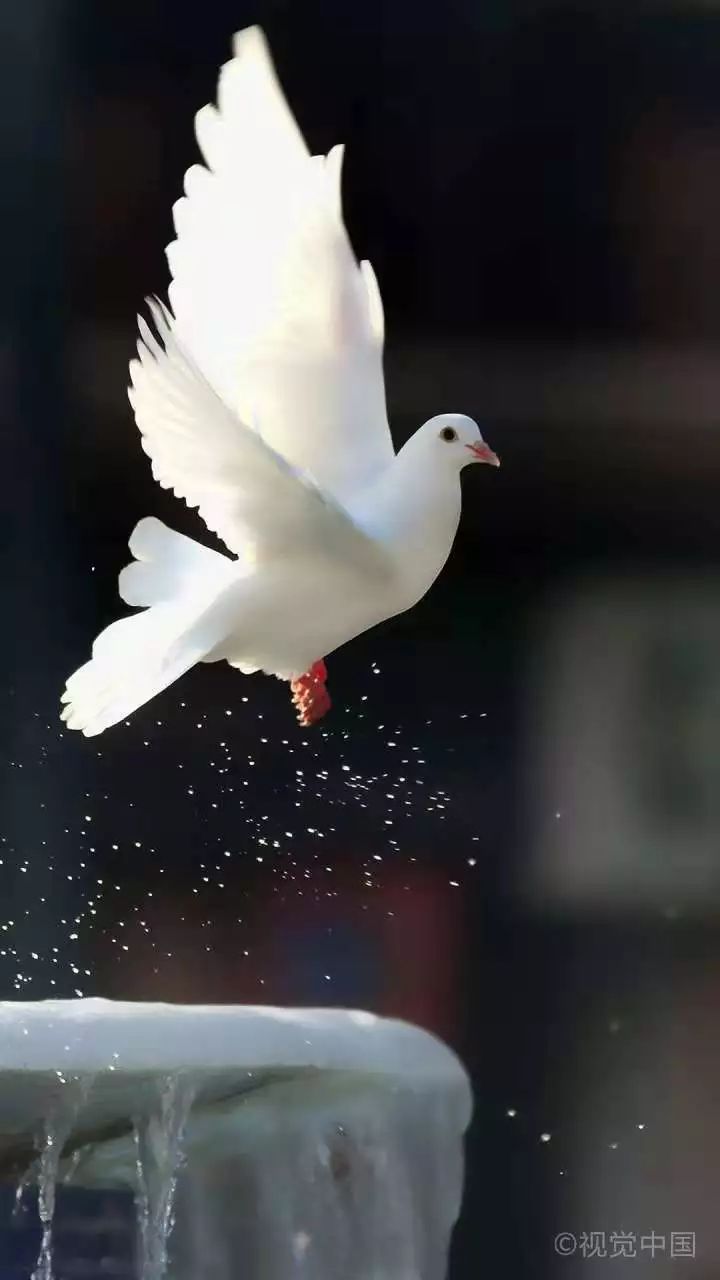 写作指导100个技巧,写作课的评语