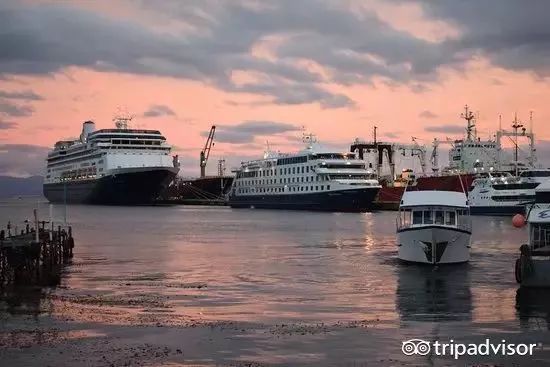 g20阿根廷峰会各国领导入场,g20签证