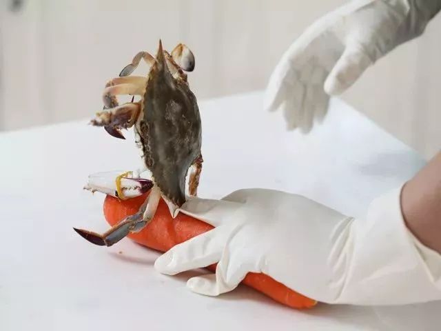 SOS肩颈贴,德国sos腰部热敷贴怎么使用