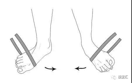 踝关节韧带核磁断层解剖图,踝关节外侧副韧带的功能解剖