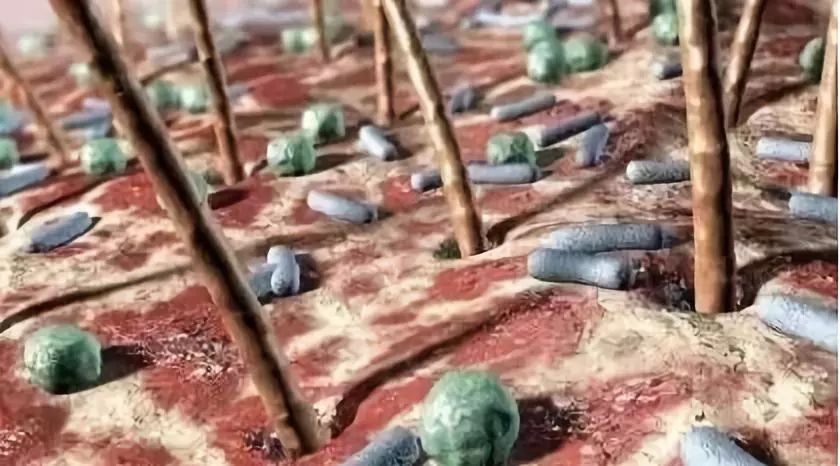 把洗衣机的残渣污垢排出来,洗衣机的洗涤盒的水垢