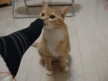 每日一笑你怎么知道的,每日一笑差距