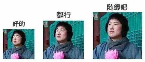 2018年度十大流行语中英双语版,2019流行语与热词英语版