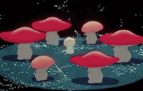 霉菌是不是百害无一利,霉菌是一等致癌物你绝对想不到