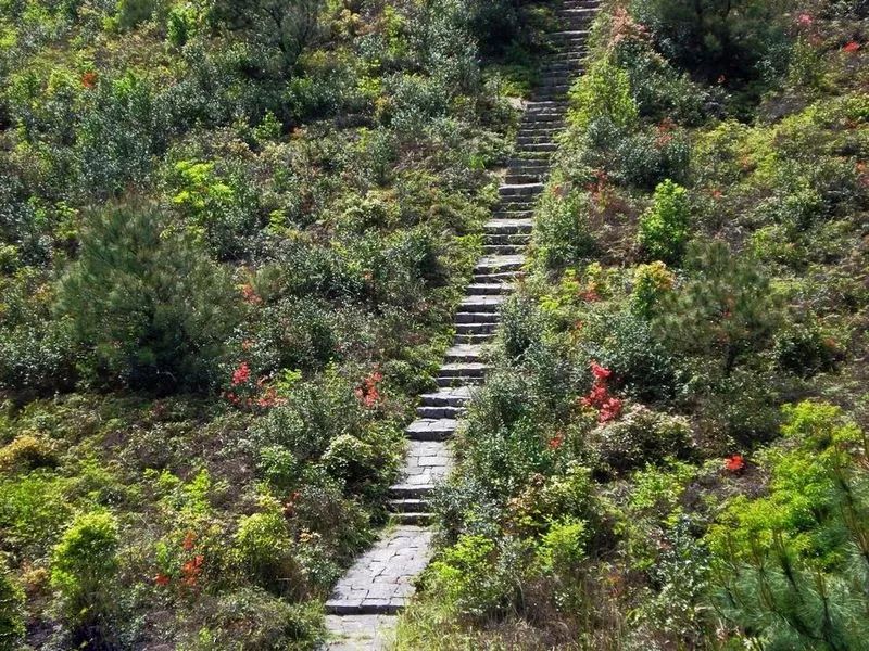 这块带有“仙气”的永泰风景岩，想要打翻你对自然风光的印象