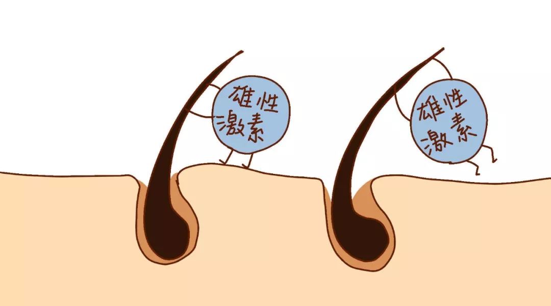 辟谣特工队｜90后，你的头发还好吗？