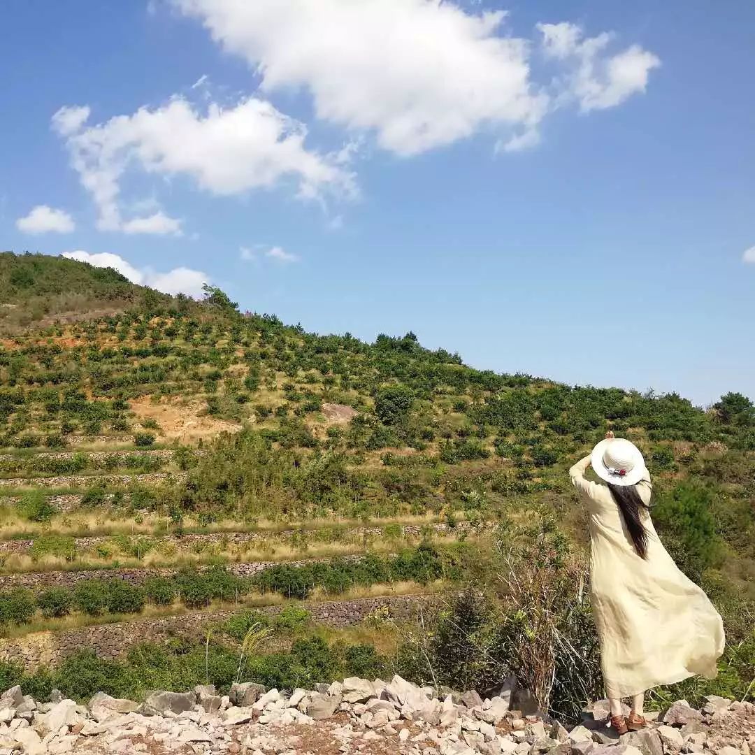 闲时赏花听歌静时看书喝茶,一处悠闲安静的好去处