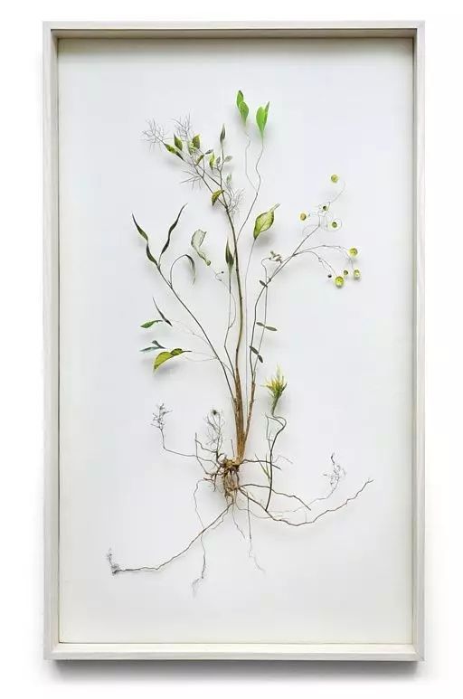 干花制作手工画,做手工diy干花