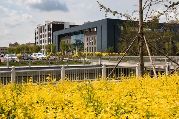 辽宁省排名前10高校有你的母校吗,盘点辽宁的十大高校