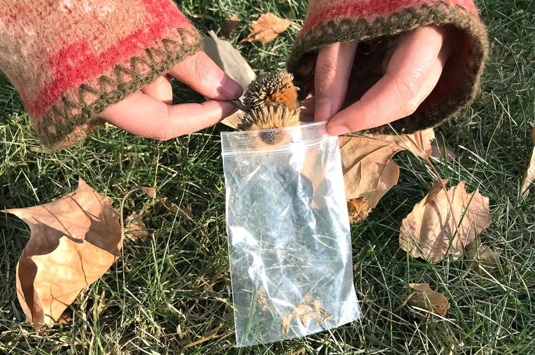 双12给宝宝囤的宝宝用品,双12什么东西适合宝宝囤