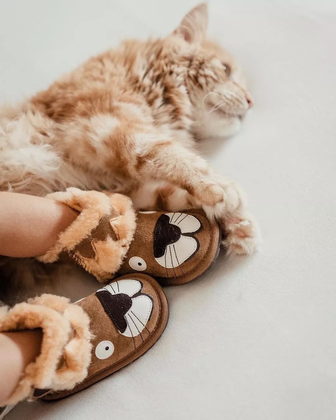 泷泽伸介工作室,泷泽伸介发泥