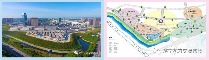 遂宁花卉批发市场,遂宁绿植花卉市场在哪里啊